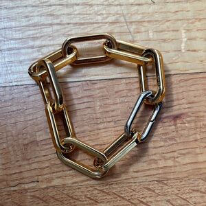 Gold Link Bracelet with Silver Accent Link